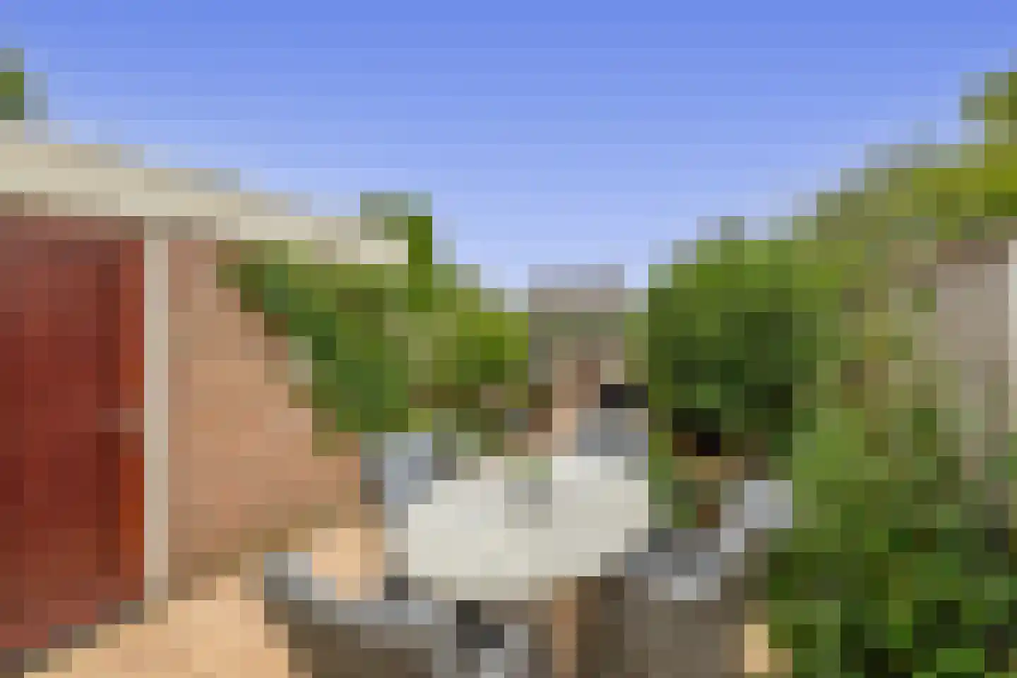 Ristervoorde 14 Spijkenisse thumbnail 25