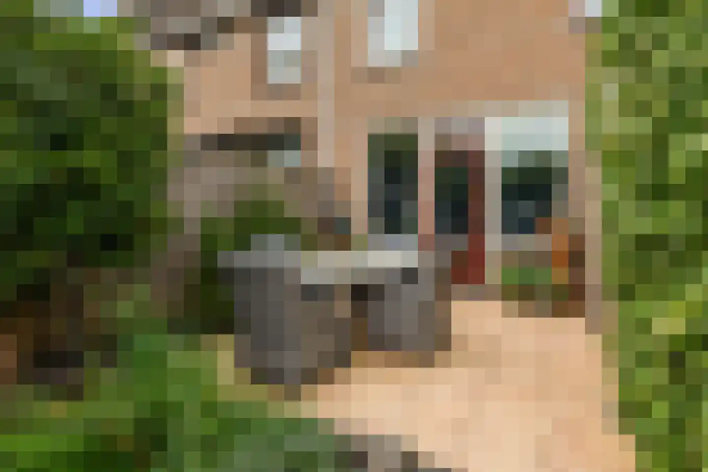 Ristervoorde 14 Spijkenisse thumbnail 28