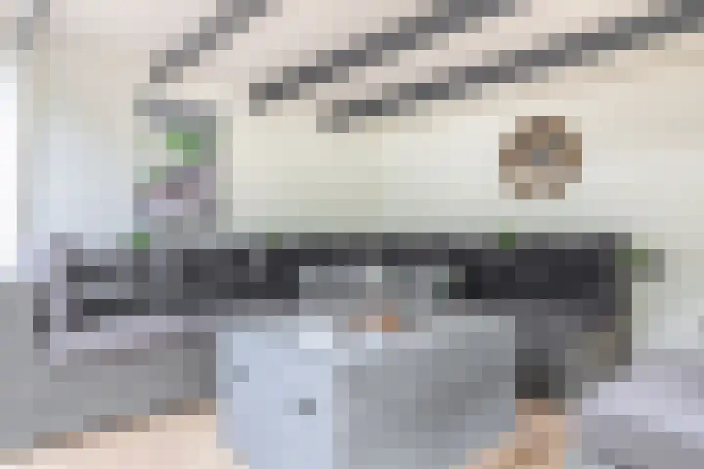 Ristervoorde 14 Spijkenisse thumbnail 29