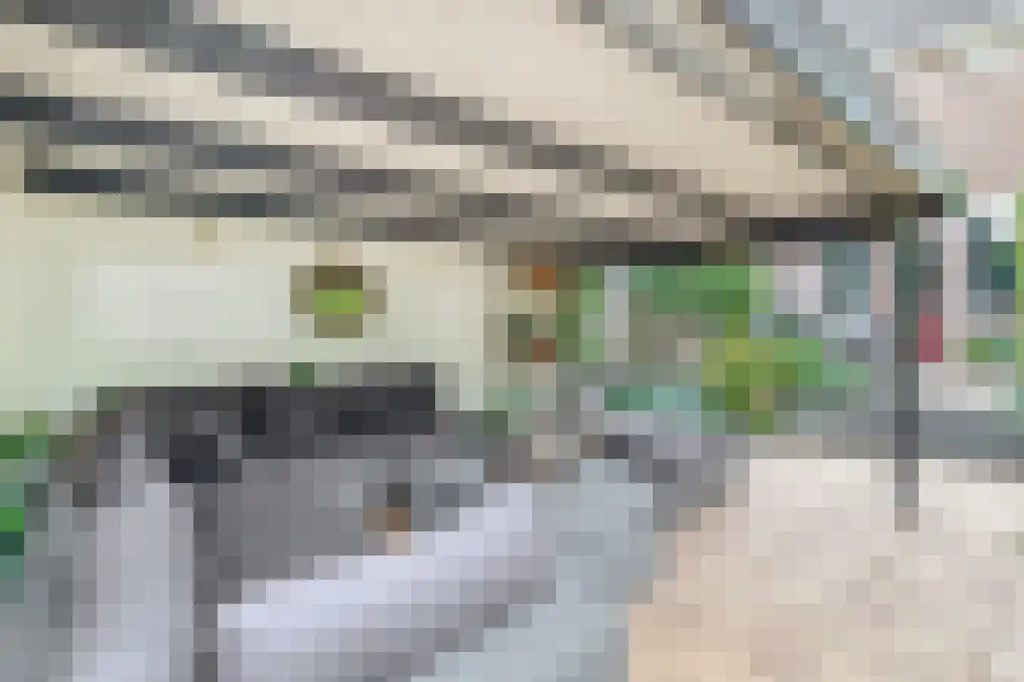 Ristervoorde 14 Spijkenisse thumbnail 30