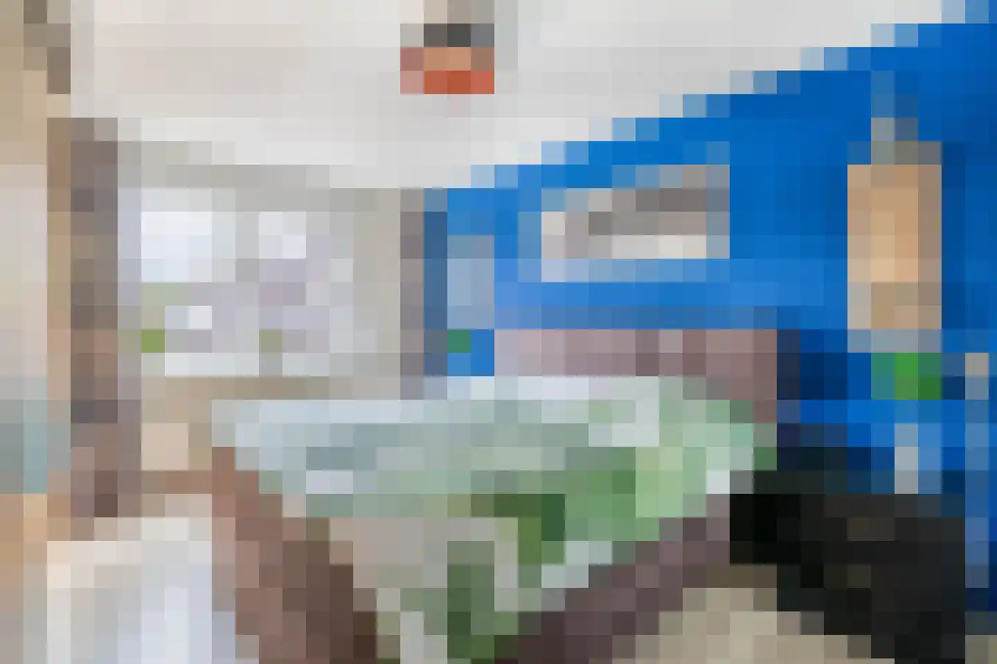Ristervoorde 14 Spijkenisse thumbnail 33