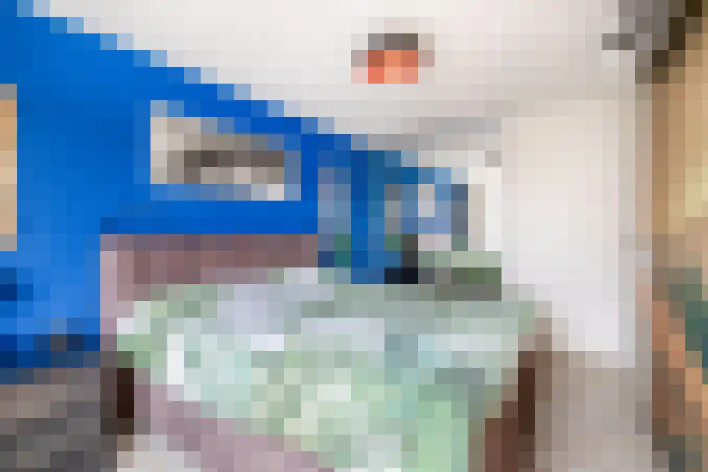 Ristervoorde 14 Spijkenisse thumbnail 34