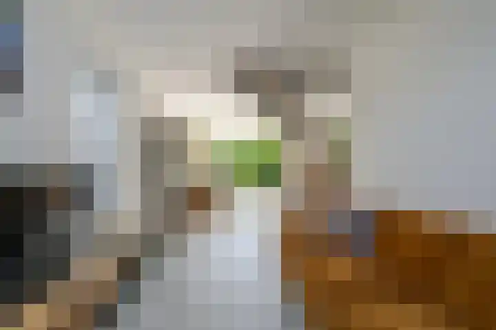 Ristervoorde 21 Spijkenisse thumbnail 11