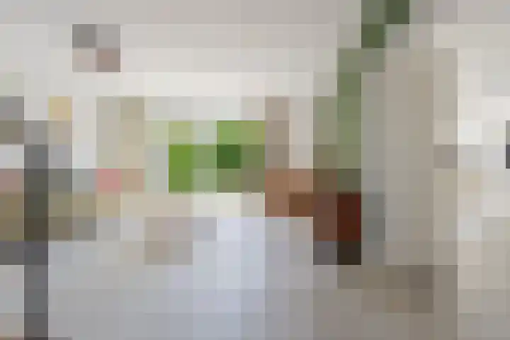 Ristervoorde 21 Spijkenisse thumbnail 12