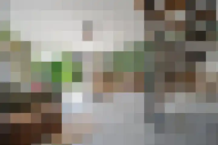 Ristervoorde 21 Spijkenisse thumbnail 13