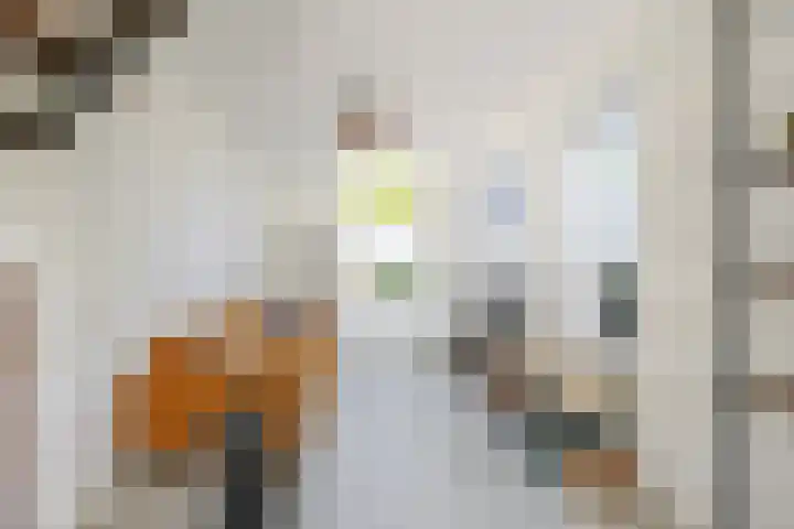 Ristervoorde 21 Spijkenisse thumbnail 15
