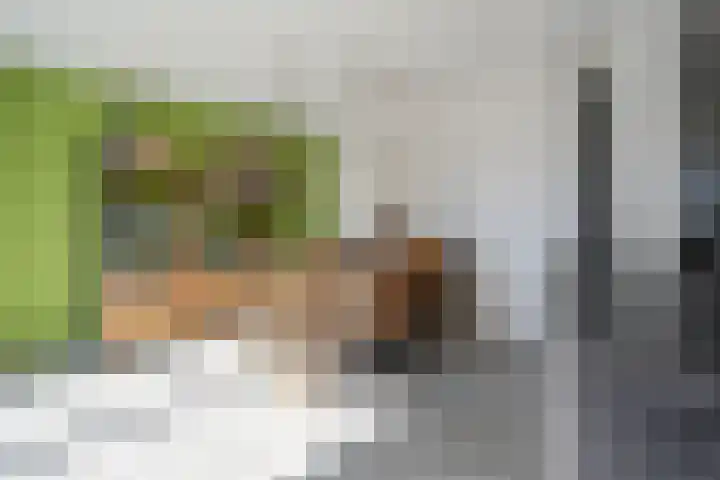 Ristervoorde 21 Spijkenisse thumbnail 16