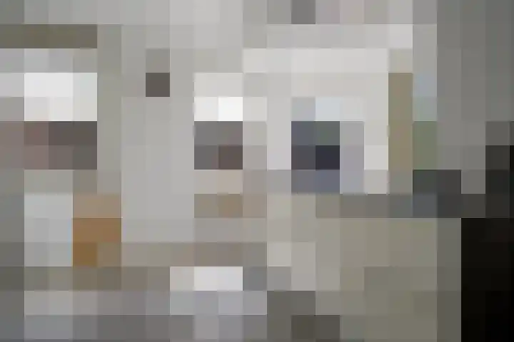 Ristervoorde 21 Spijkenisse thumbnail 17