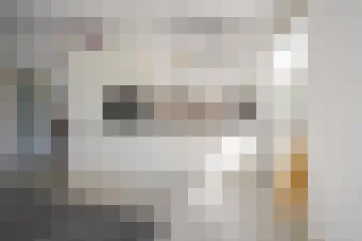 Ristervoorde 21 Spijkenisse thumbnail 18