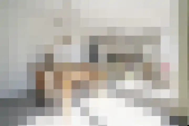 Ristervoorde 21 Spijkenisse thumbnail 19