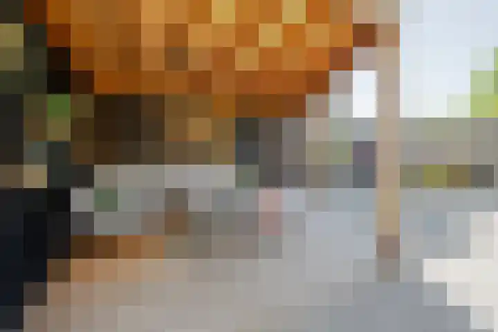 Ristervoorde 21 Spijkenisse thumbnail 22