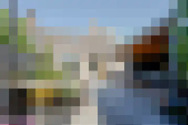 Ristervoorde 21 Spijkenisse thumbnail 23