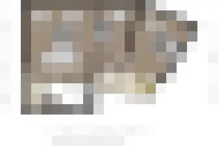 Ristervoorde 21 Spijkenisse thumbnail 24