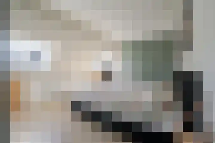 Ristervoorde 21 Spijkenisse thumbnail 25
