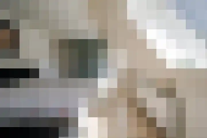 Ristervoorde 21 Spijkenisse thumbnail 26