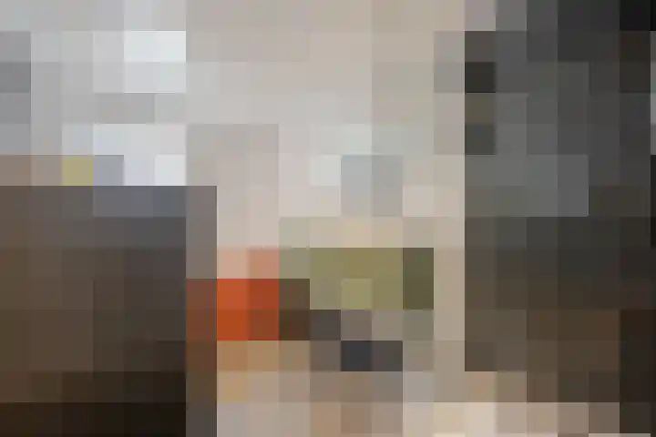 Ristervoorde 21 Spijkenisse thumbnail 27