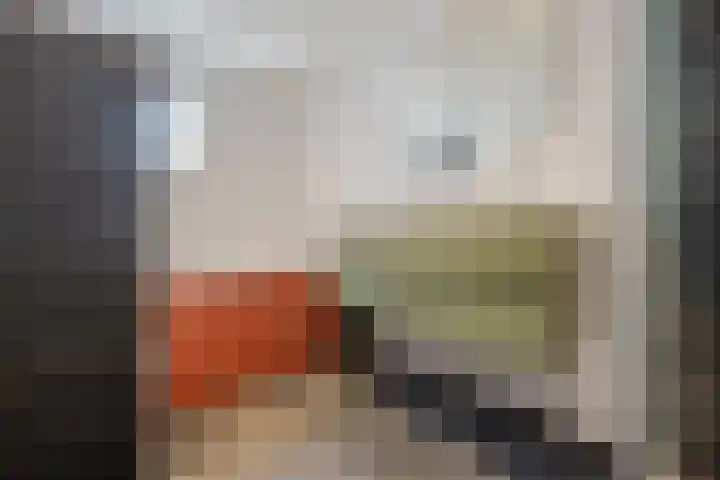 Ristervoorde 21 Spijkenisse thumbnail 28