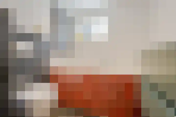 Ristervoorde 21 Spijkenisse thumbnail 29