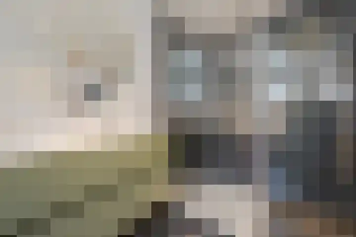 Ristervoorde 21 Spijkenisse thumbnail 30