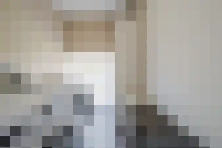 Ristervoorde 21 Spijkenisse thumbnail 31