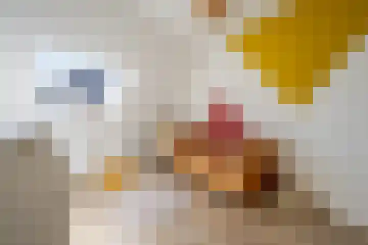 Ristervoorde 21 Spijkenisse thumbnail 32