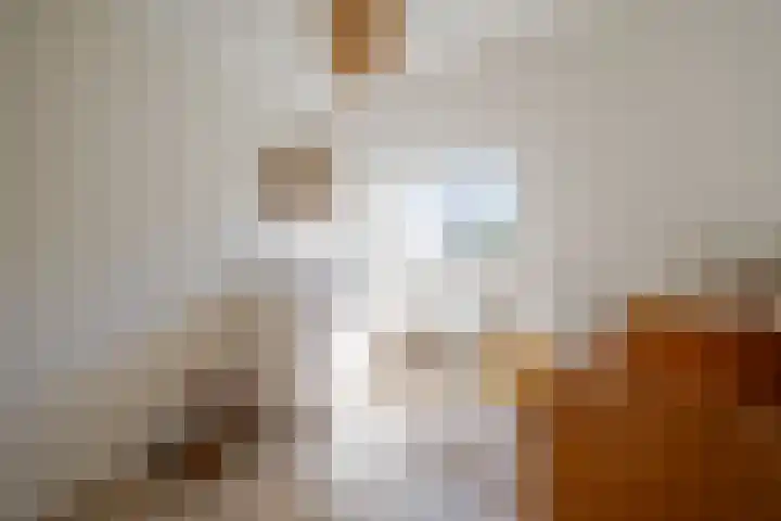 Ristervoorde 21 Spijkenisse thumbnail 33