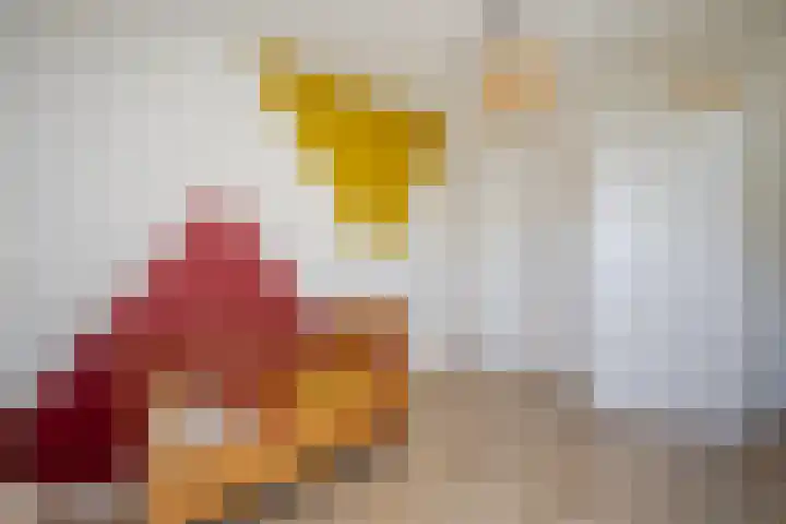 Ristervoorde 21 Spijkenisse thumbnail 34