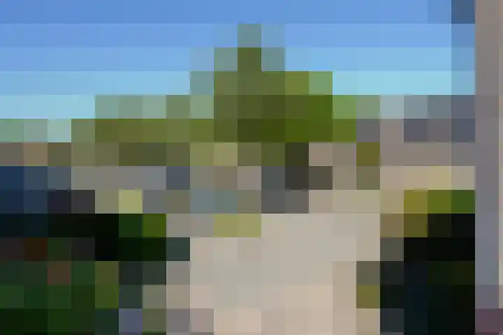 Ristervoorde 21 Spijkenisse thumbnail 37