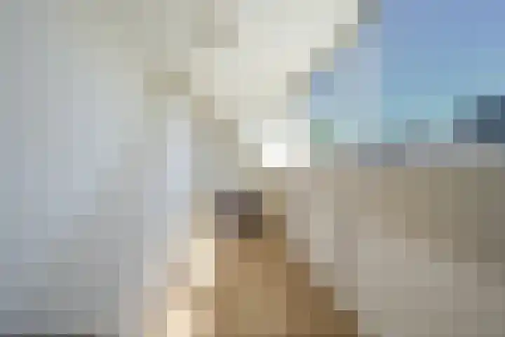 Ristervoorde 21 Spijkenisse thumbnail 39