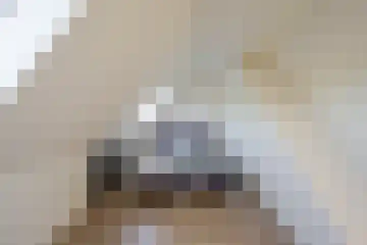 Ristervoorde 21 Spijkenisse thumbnail 40