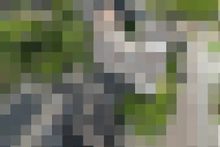 Ristervoorde 21 Spijkenisse thumbnail 41