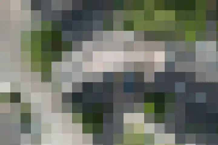 Ristervoorde 21 Spijkenisse thumbnail 42
