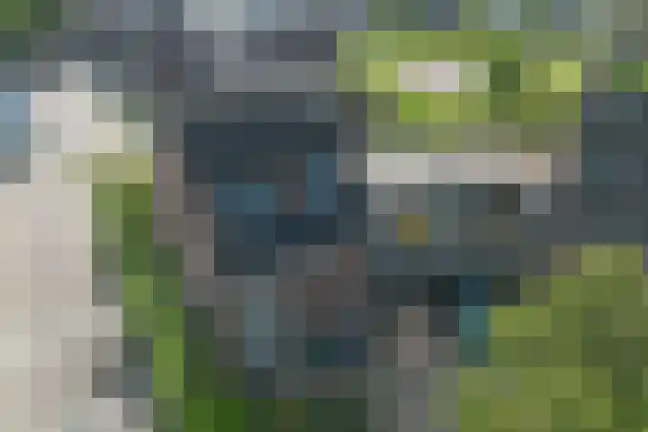 Ristervoorde 21 Spijkenisse thumbnail 43
