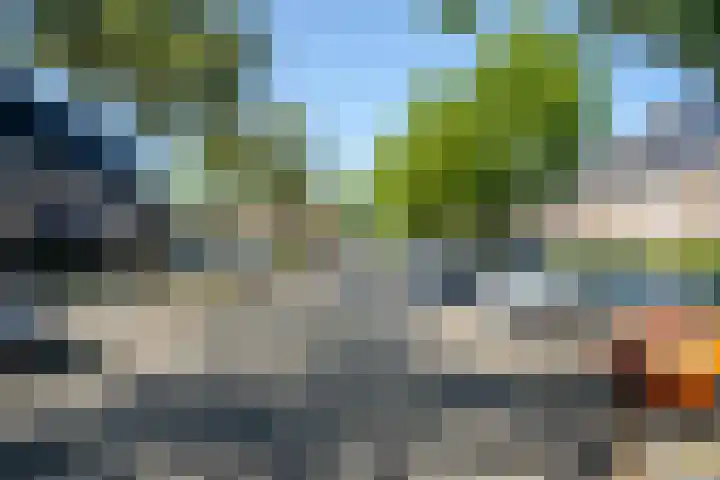 Ristervoorde 21 Spijkenisse thumbnail 7