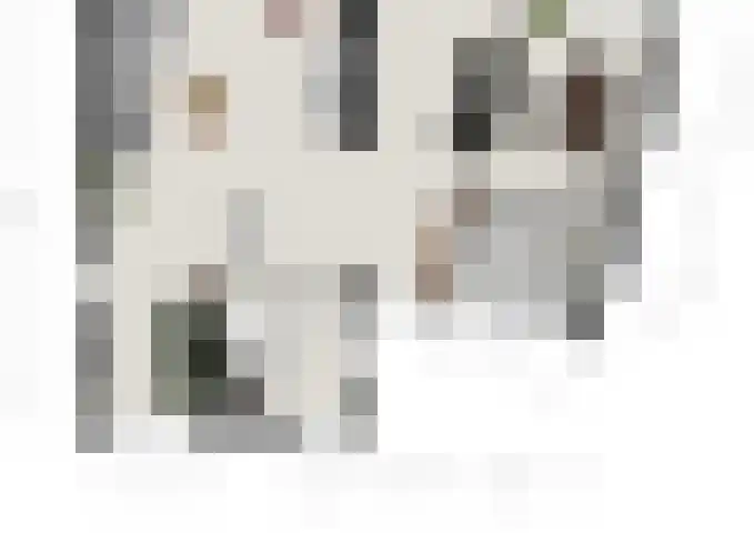 Ristervoorde 21 Spijkenisse thumbnail 9