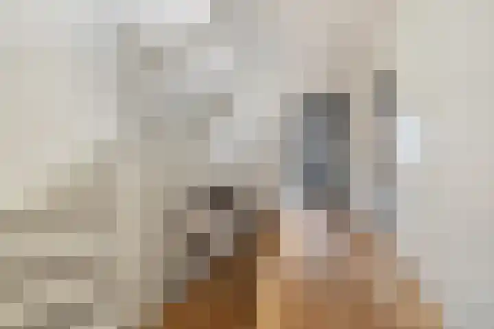 Rita Reyshof 4 Hilversum thumbnail 19