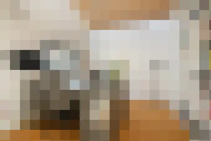 Rita Reyshof 4 Hilversum thumbnail 34