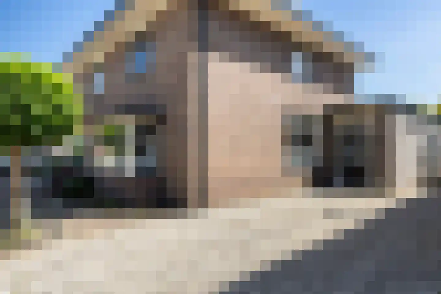 Ritbroekdwarsstraat 35 2 Apeldoorn thumbnail 5