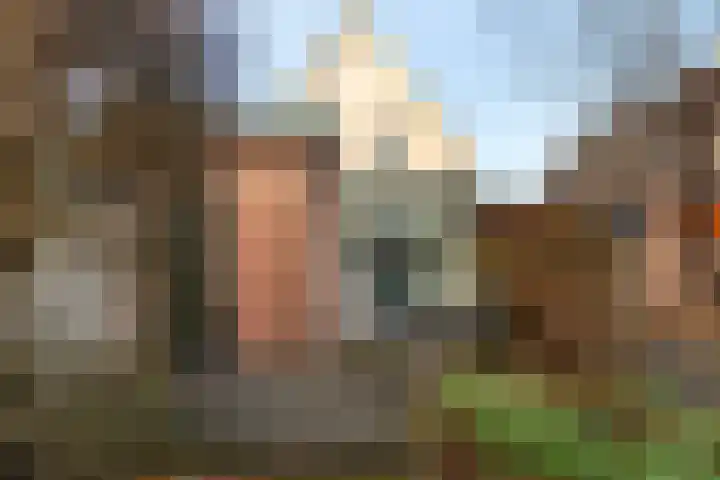 Ritbroekdwarsstraat 7 Apeldoorn thumbnail 14