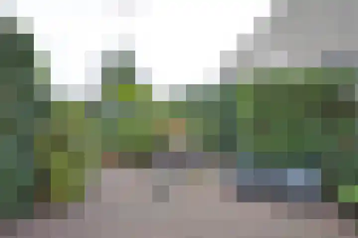 Ritbroekstraat 35 Apeldoorn thumbnail 5