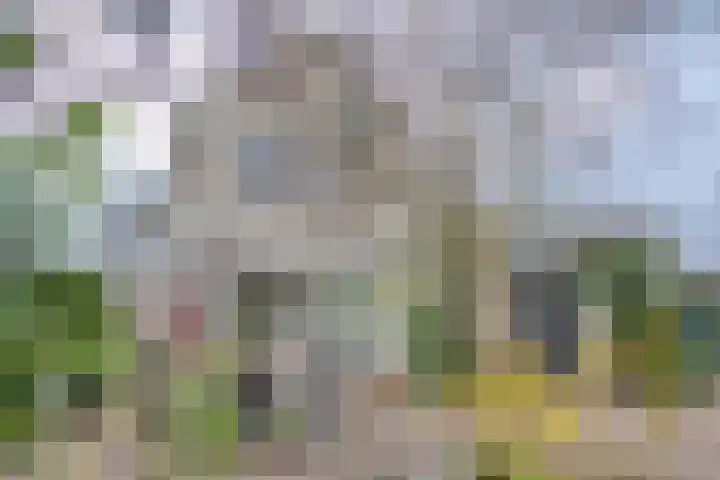 Ritbroekstraat 35 Apeldoorn thumbnail 6