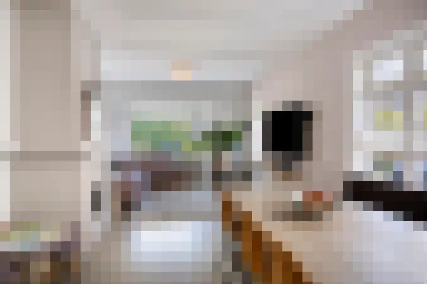 Ritbroekstraat 41 Apeldoorn thumbnail 7