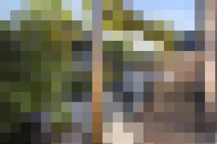 Ritbroekstraat 65 Apeldoorn thumbnail 23