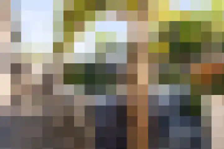 Ritbroekstraat 65 Apeldoorn thumbnail 4