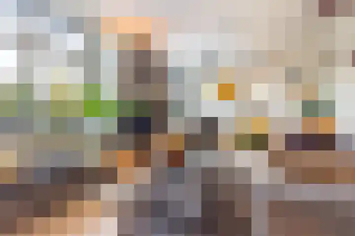 Ritbroekstraat 65 Apeldoorn thumbnail 8