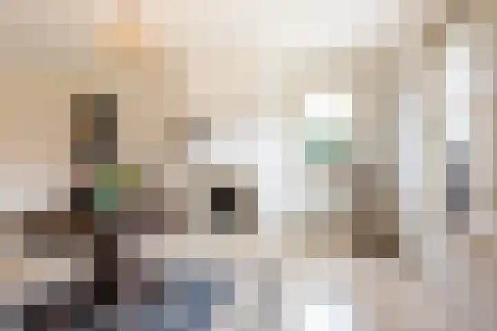 Rithsestraat 12 Breda thumbnail 9