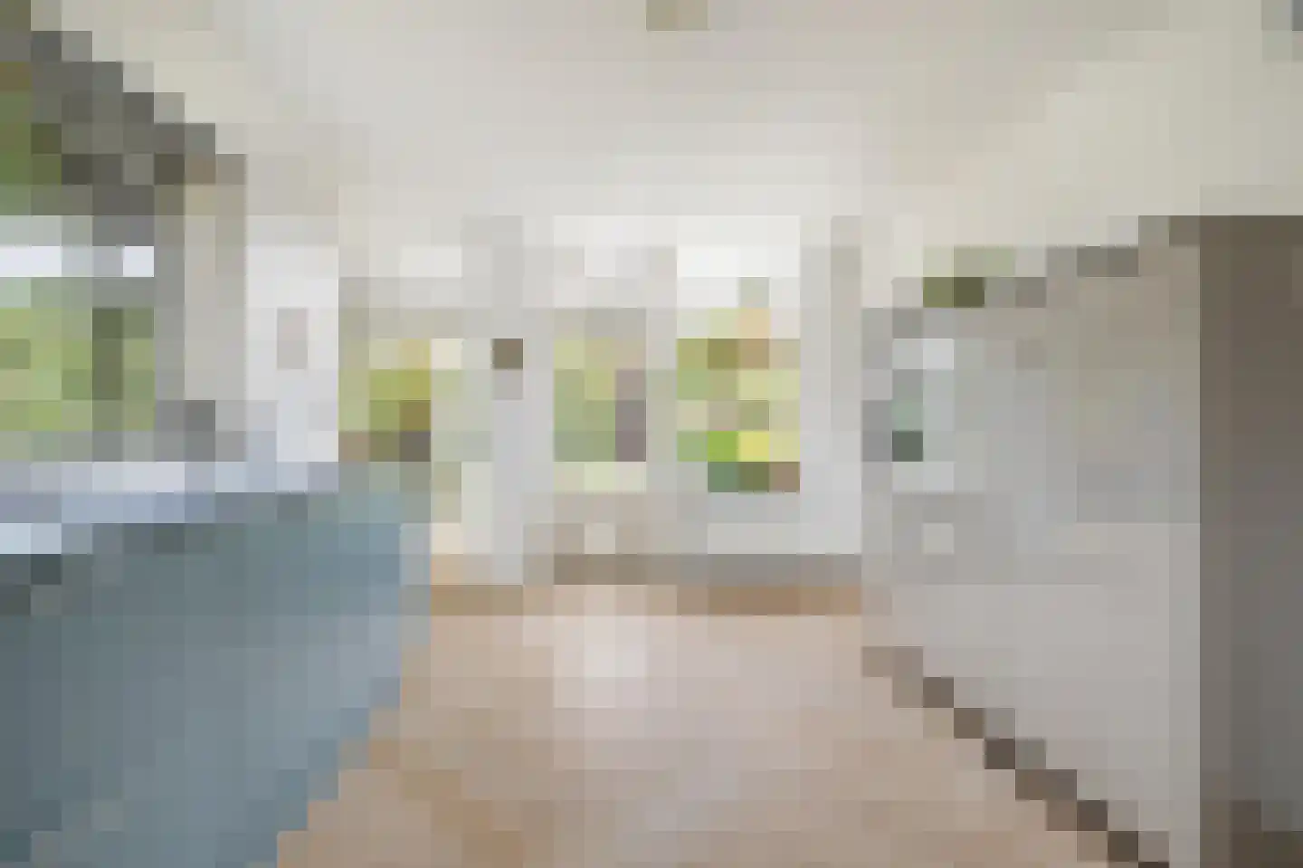 Rithsestraat 20 Breda thumbnail 16