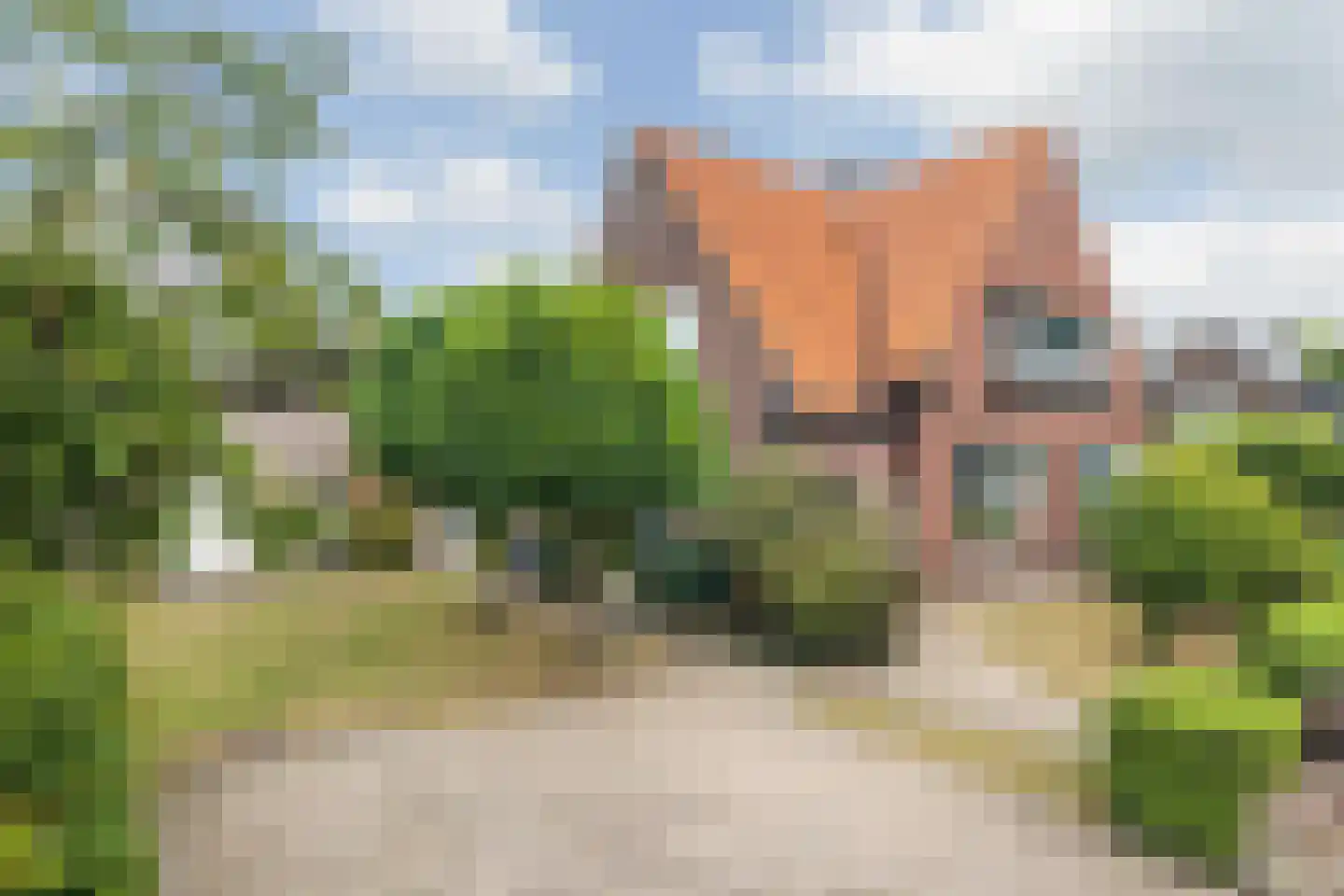 Rithsestraat 20 Breda thumbnail 8