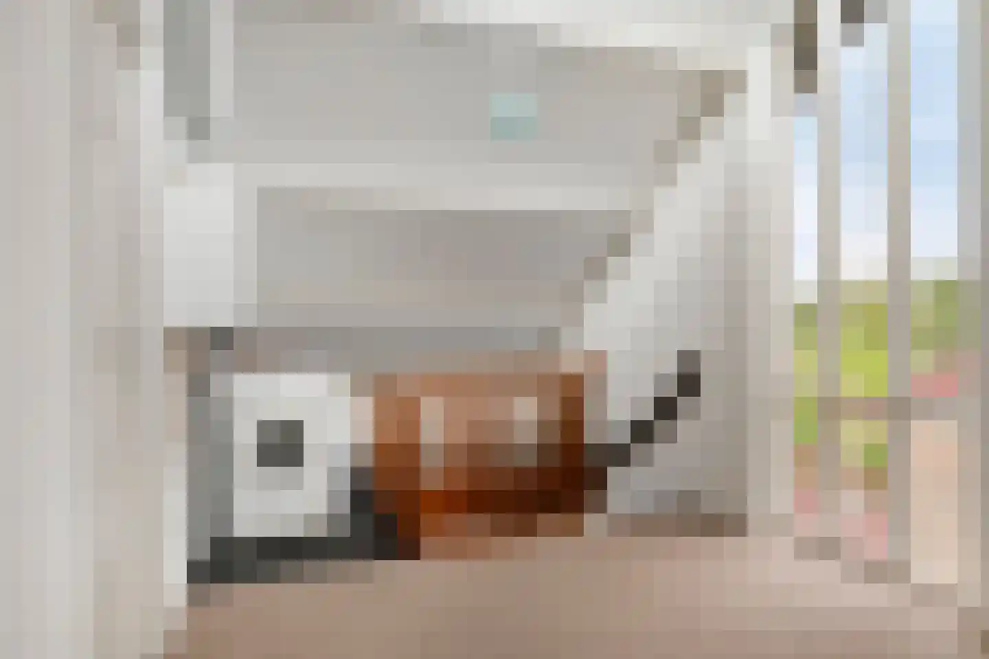 Rithsestraat 30 Breda thumbnail 32