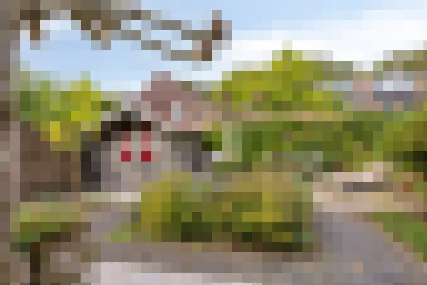 Rithsestraat 30 Breda thumbnail 37